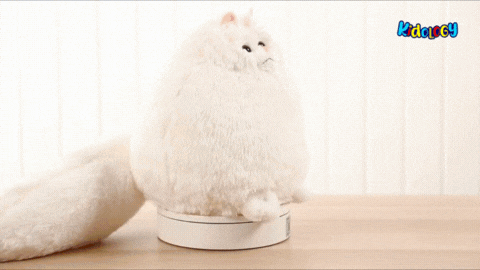 Kidology Fluffy Soft Plush Persian Cat Stuffed Toy