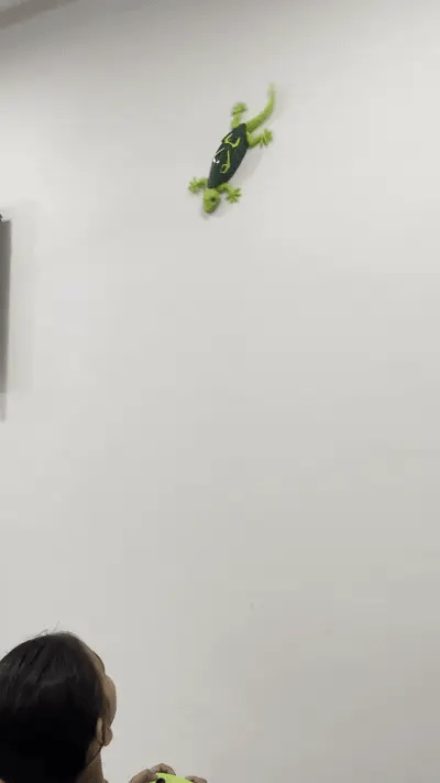 Remote Controlled Wall Crawler Gecko