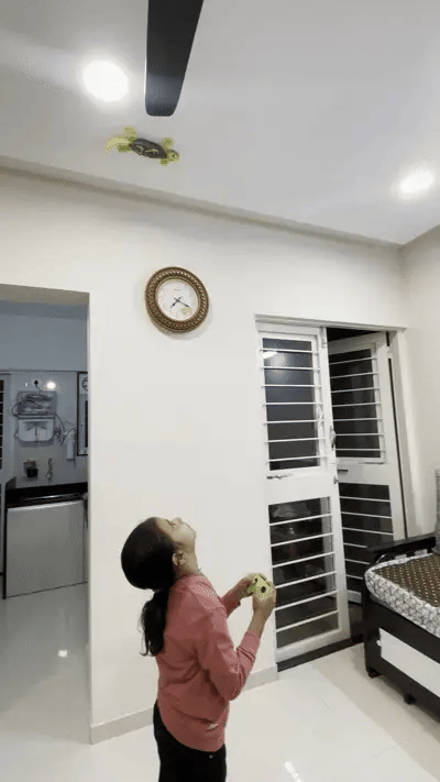 Remote Controlled Wall Crawler Gecko