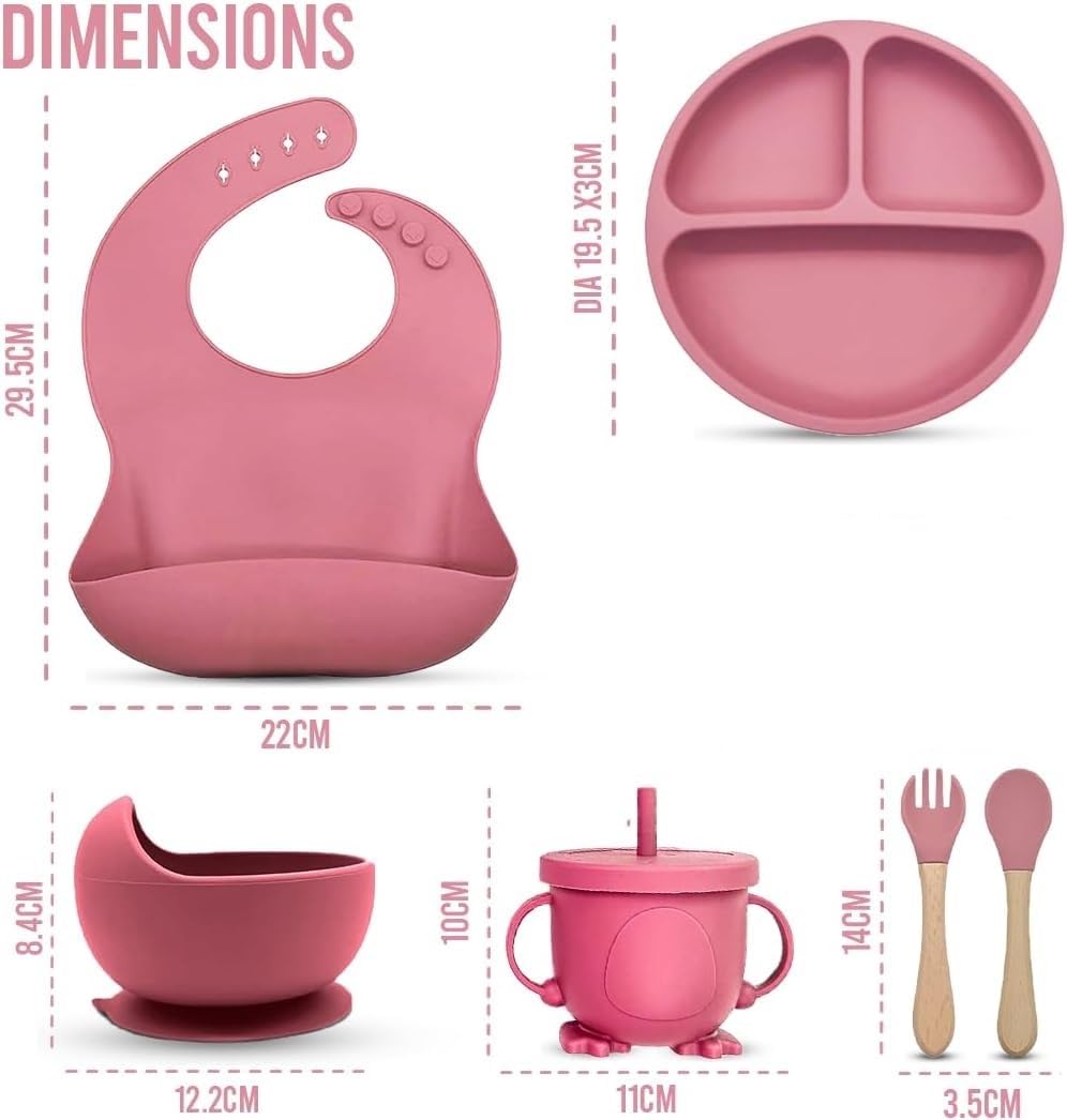 6 Pcs Silicone Baby Feeding Set