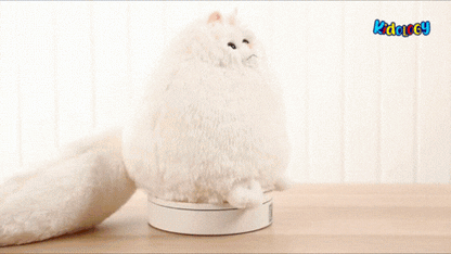 Kidology Fluffy Soft Plush Persian Cat Stuffed Toy