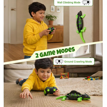 Remote Controlled Wall Crawler Gecko