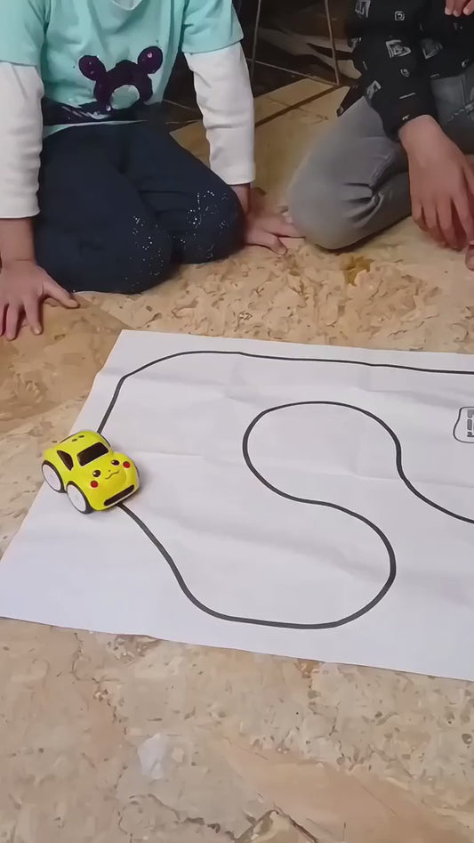 Gesture Control Smart Car