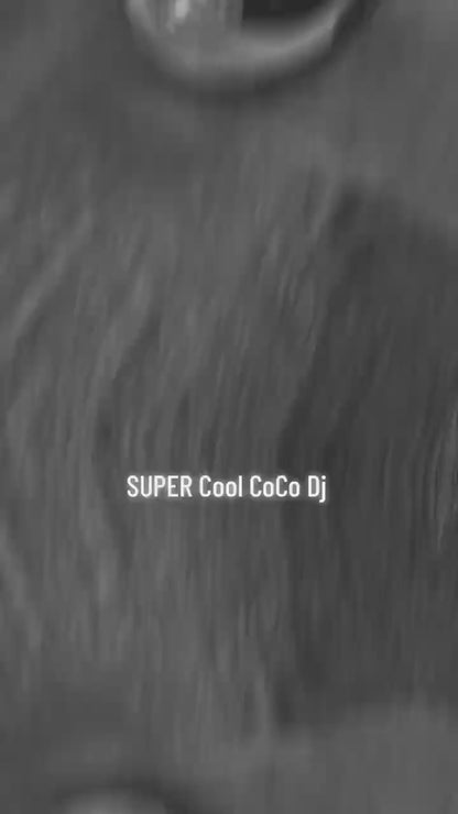 DJ Coco Musical Dancing Robot