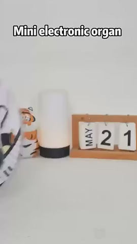 Rainbow Pocket Piano Keychain