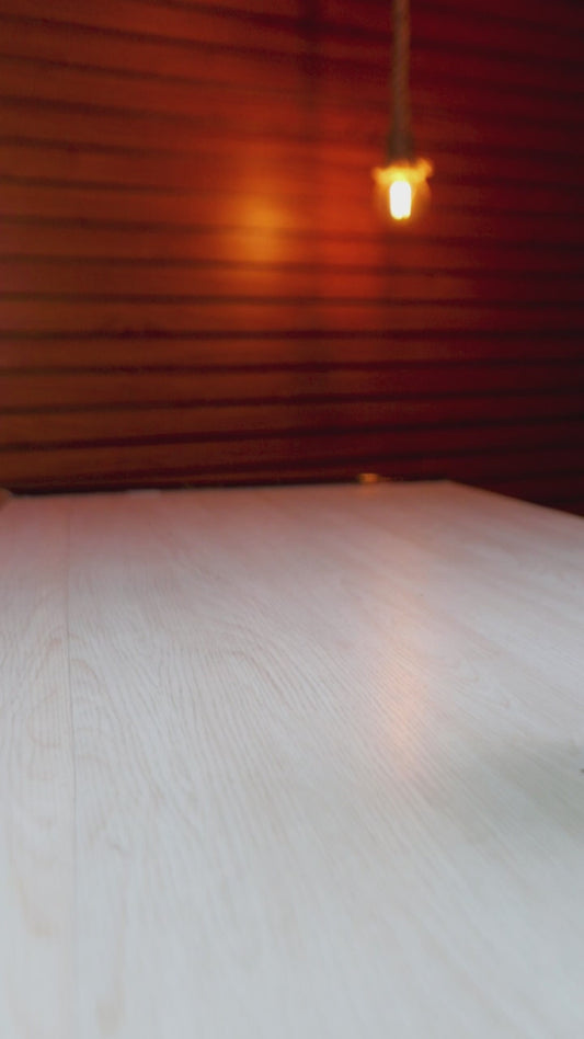 Musical Dancing Frog